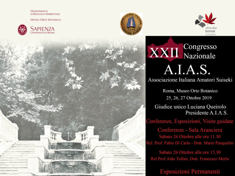 XXII Congresso AIAS