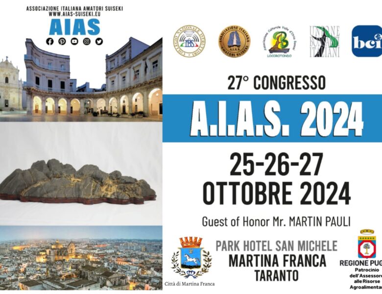 XXVII CONGRESSO A.I.A.S. – MARTINA FRANCA 2024