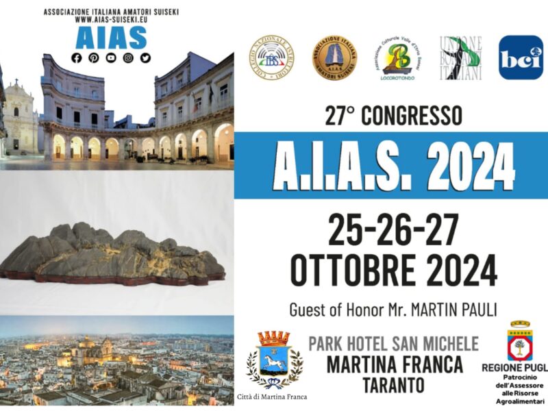 XXVII CONGRESSO A.I.A.S. – MARTINA FRANCA 2024