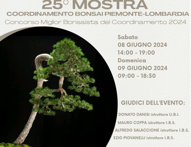 25° Mostra Coordinamento Bonsai Piemonte Lombardia 2024