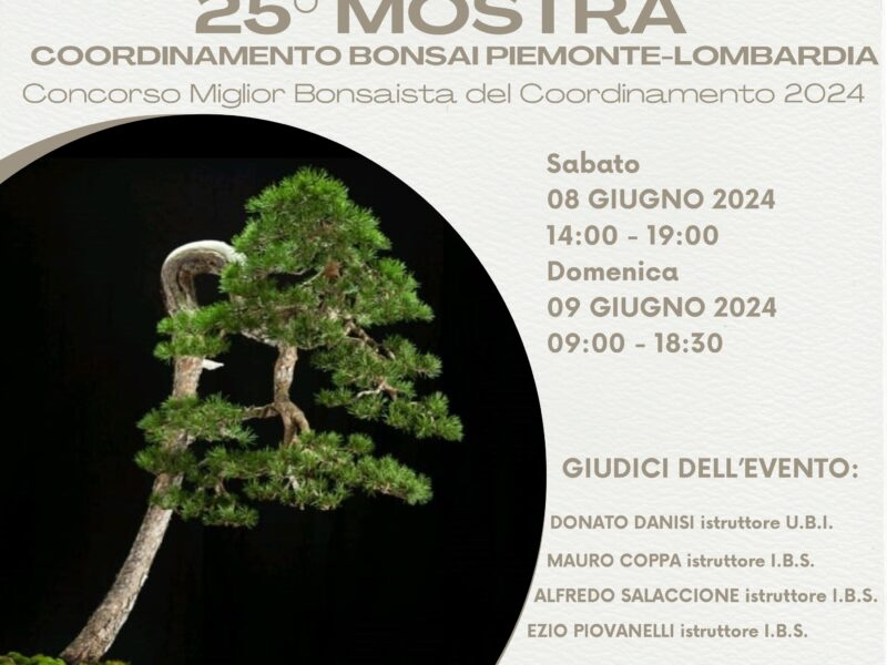 25° Mostra Coordinamento Bonsai Piemonte Lombardia 2024