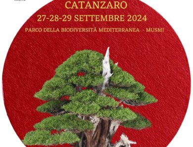 Catanzaro XIV Mostra Nazionale bonsai e suiseki -2024