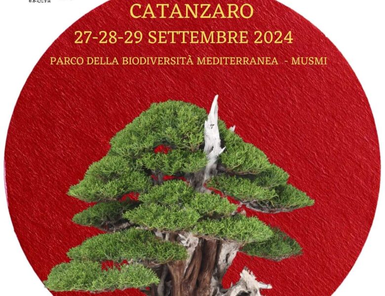 Catanzaro XIV Mostra Nazionale bonsai e suiseki -2024