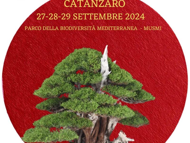 Catanzaro XIV Mostra Nazionale bonsai e suiseki -2024