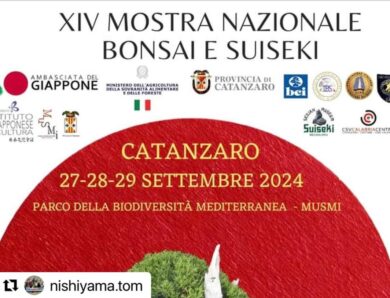 XIV MOSTRA NAZIONALE BONSAI E SUISEKI CATANZARO 27- 28- 29 SETTEMBRE  2024