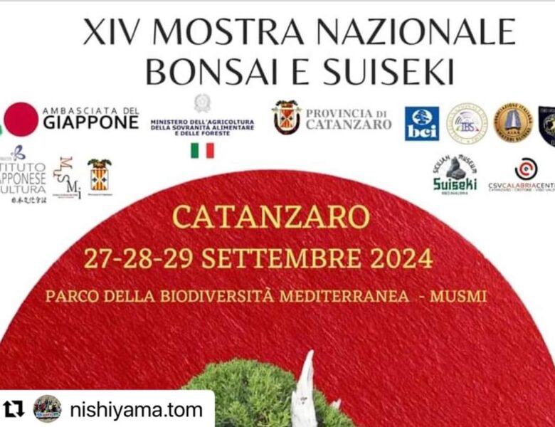 XIV MOSTRA NAZIONALE BONSAI E SUISEKI CATANZARO 27- 28- 29 SETTEMBRE  2024