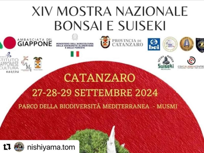 XIV MOSTRA NAZIONALE BONSAI E SUISEKI CATANZARO 27- 28- 29 SETTEMBRE  2024