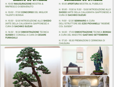 X Mostra bonsai e suiseki Cesano Maderno 2024