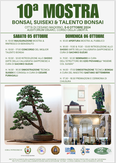 X Mostra bonsai e suiseki Cesano Maderno 2024