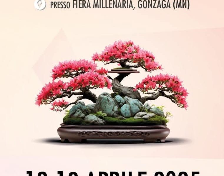 Mondo Bonsai 20° Edizione